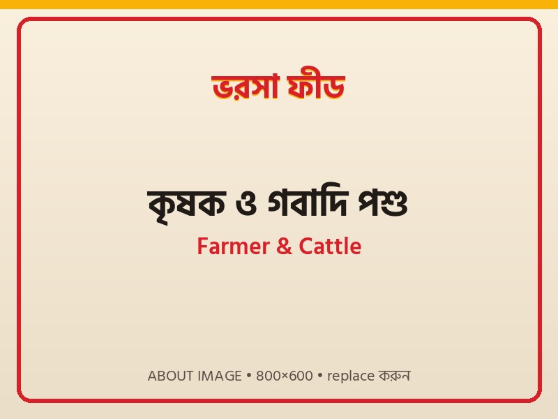 Our Happy Farmer and Cattle