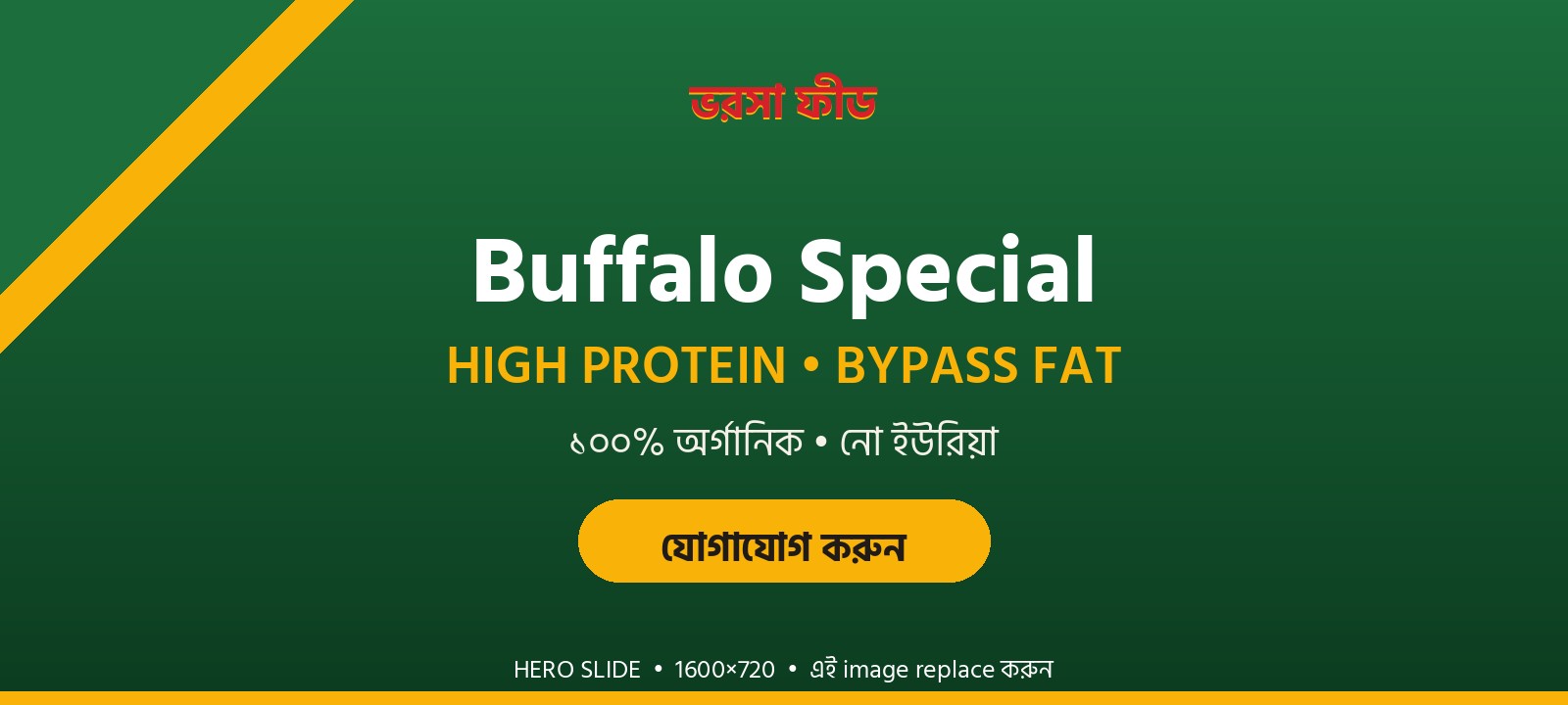 Buffalo Special